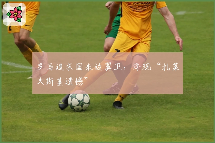 罗马追求国米边翼卫，浮现“扎莱夫斯基遗憾”