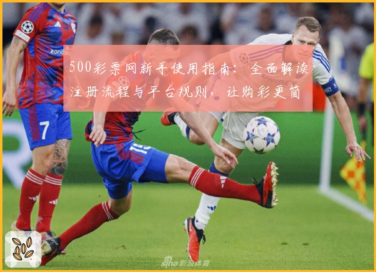 500彩票网新手使用指南：全面解读注册流程与平台规则，让购彩更简单
