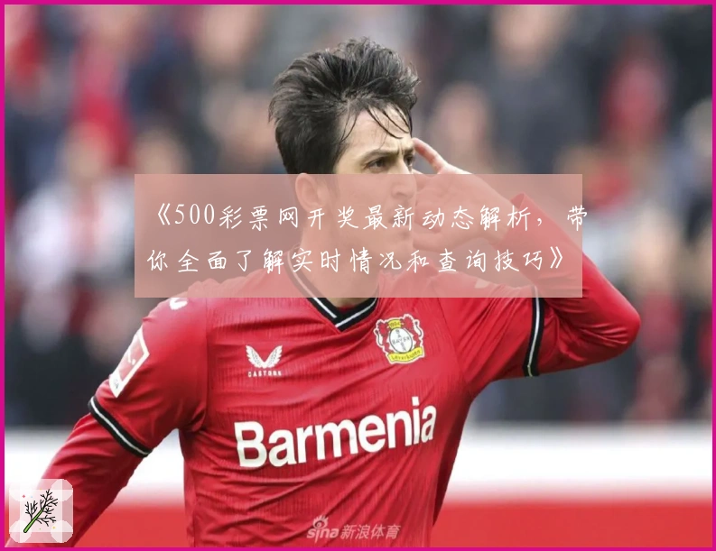 《500彩票网开奖最新动态解析，带你全面了解实时情况和查询技巧》